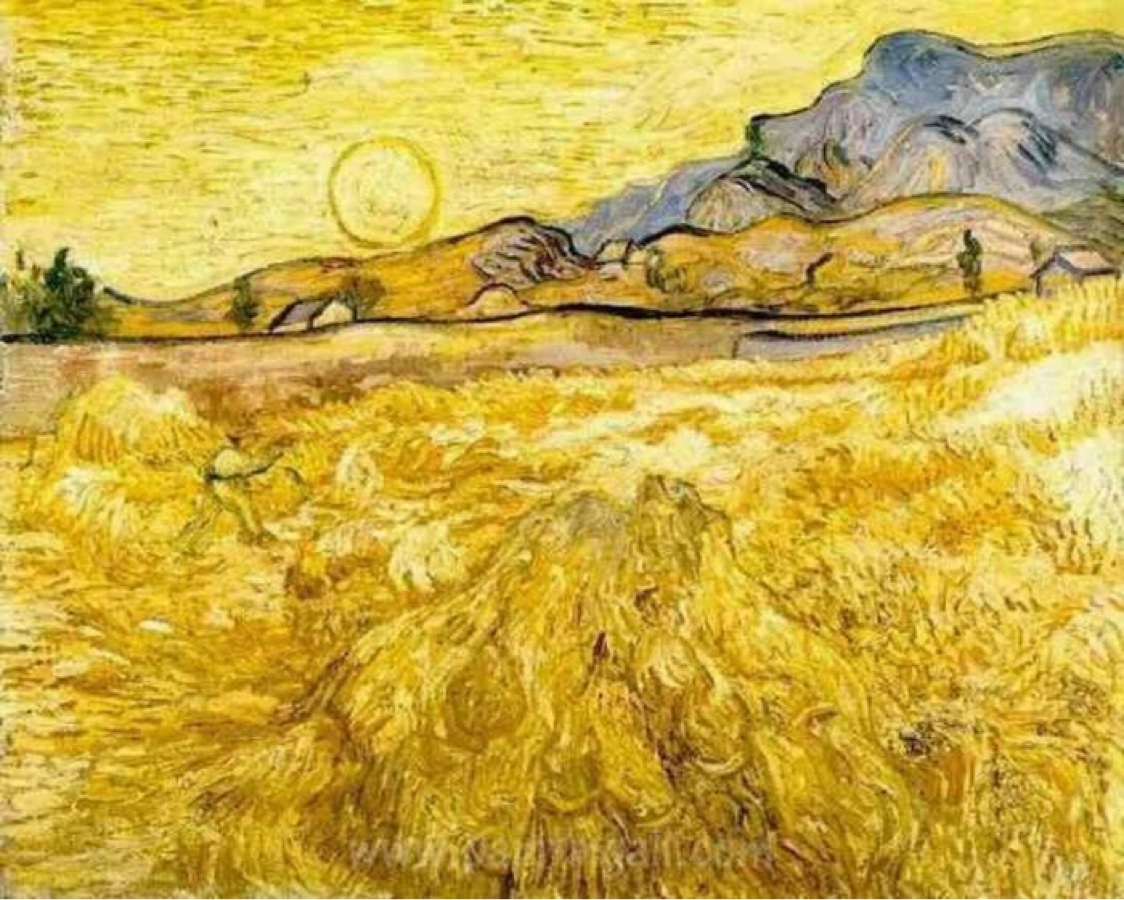 Vincent Van Gogh, Campo di grano Vincent Van Gogh, Campo di grano
